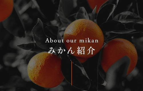 bnrhalf_mikan